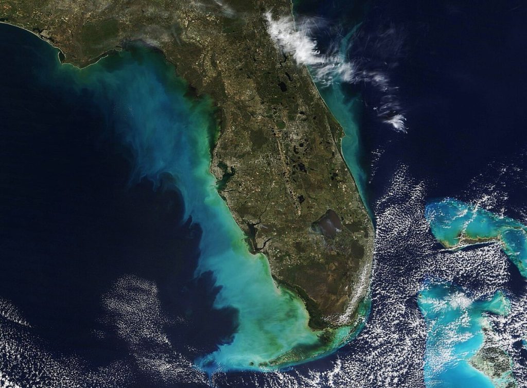 The Slow Disaster: Marine Decline Continues Across the Gulf Waves washing over a Gulf of Mexico beach