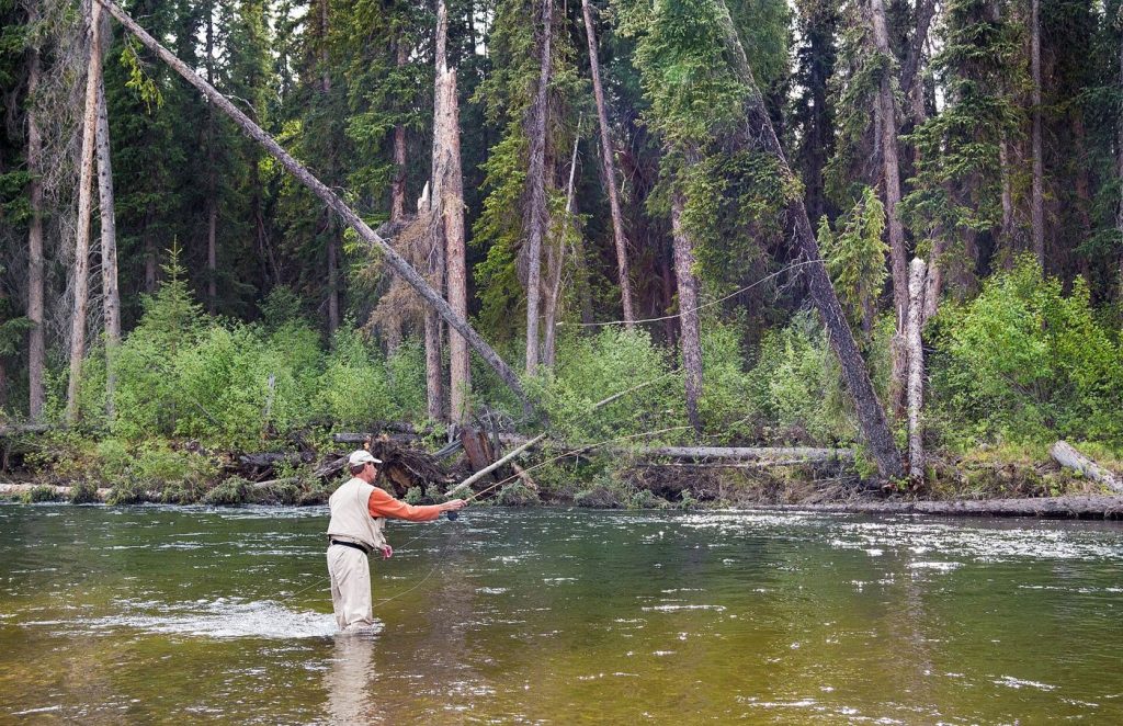National Parks Set Visitor Records — and Test New Limits An angler fly-fishing in a forest river